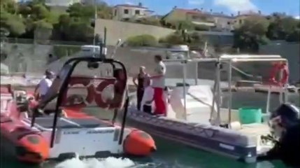 Balenottera spiaggiata sulla costa livornese: le operazioni di rimozione