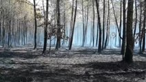 Un fuego cerca de Burdeos quema 1.300 hectáreas y obliga a evacuaciones