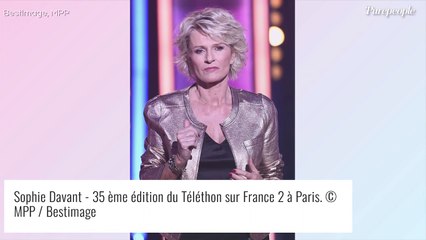 Sophie Davant hautaine ? Une fan balance, l'animatrice monte au créneau et réplique !