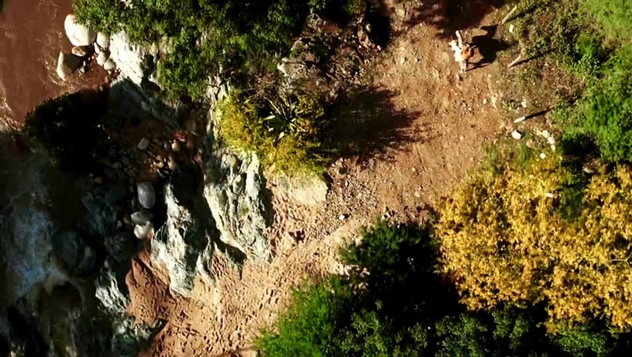 LEANDRO - TRAILER