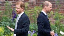 Have Prince Harry and Prince William finally buried the hatchet?