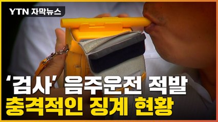 [자막뉴스] 혈중알코올농도 0.044%...충격적인 '검사' 징계 현황 / YTN