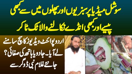 Social Media Par Vegetables And Fruits Me Se Paise Or Ande Nikalne Wala TikToker - Ghulam Nabi Dogar