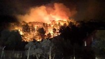 Son dakika haber! Muğla'nın Ula ilçesinde orman yangını
