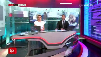 Tras cinco días de lucha, muere el puercoespín rescatado de los incendios en El Torno