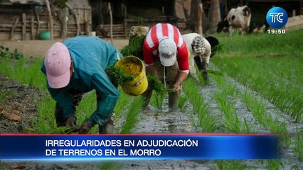 Irregularidades en adjudicación de terrenos en El Morro