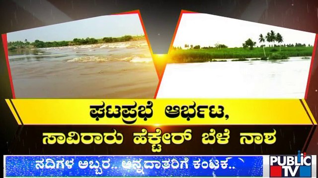 Crops Destroyed Due To Heavy Rain In Bagalakote District | Public TV