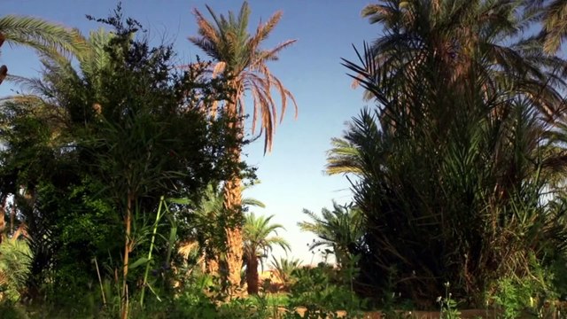 10 Wonderful Places to Visit in Morocco - Must Watch Morocco Travel Guide