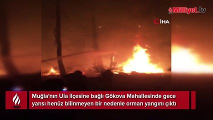Muğla'da korkutan orman yangını! Ekipler bölgede