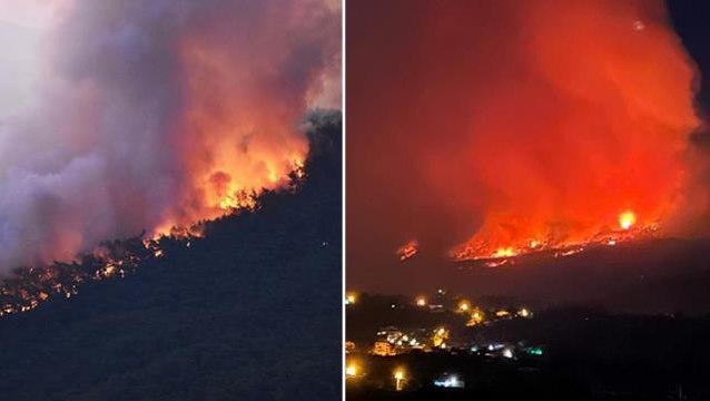 Muğla'da orman yangını! Alevler kısa sürede büyüdü, havadan ve karadan söndürme çalışmaları sürüyor
