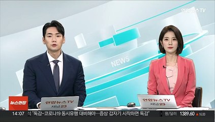 下载视频: 외교차관 