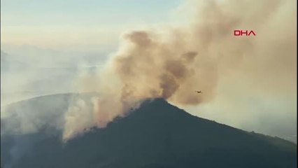 MUĞLA' DA ORMAN YANGINI KONTROL ALTINA ALINDI