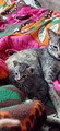 #cute #animals #pets cute kitten video you won't regret watching LIKE SHARE AND SURSCRIBE