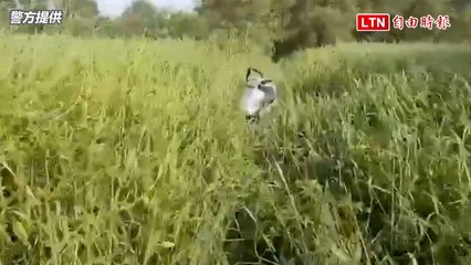 有如神助！72歲阿嬤失蹤5天靠喝髒水撐下來（警方提供）