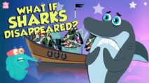 What If Sharks Disappeared? | Extinction Of Sharks | The Dr Binocs Show | Peekaboo Kidz