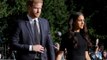 Prince Harry and Meghan ‘joined senior royals as they united in grief around Queen Elizabeth’s coffin’