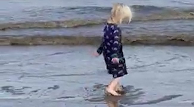 Viral video of family 'stepping in sewage on beach' debunked as 'natural sea algal'