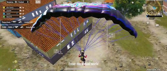 A snake is killed by another snake 