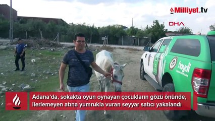 Atı yumruklayan seyyar satıcı yakalandı