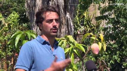 La Calabria del cambiamento climatico: il boom dei frutti tropicali