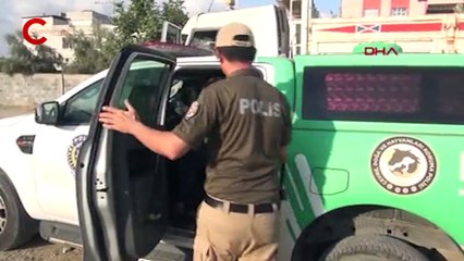 Görüntüler büyük tepki çekmişti: Atı yumruklayan seyyar satıcı yakalandı