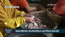 Solar Mahal :  Nelayan Beralih Profesi Jadi Perajin Ikan Asap, Pemasukan Naik Hingga 3 Kali Lipat!