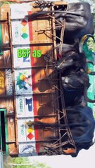 Animals News, Animals News video, Animals News Today