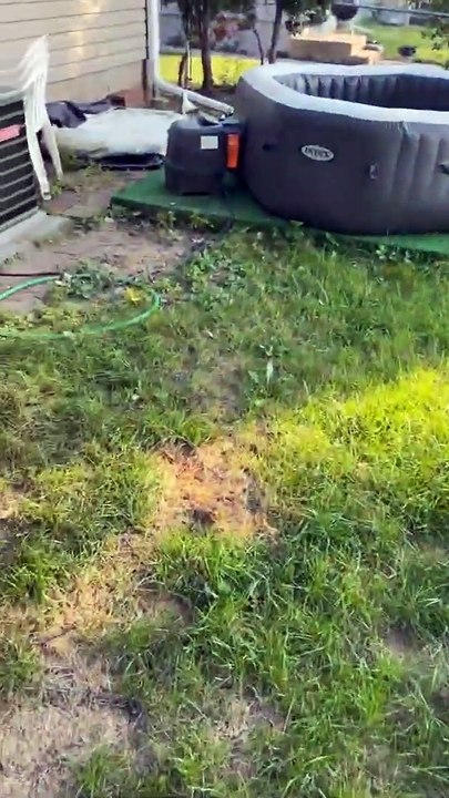 L'écureuil piégé dans le bain à remous est sauvé Buzz Buddy.mp4