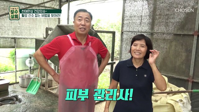 피부 미용과 건강에 도움을 주는 『 식용 달팽이 』 TV CHOSUN 20220914 방송