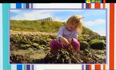 Something Special Mr Tumble Full Episode Vet