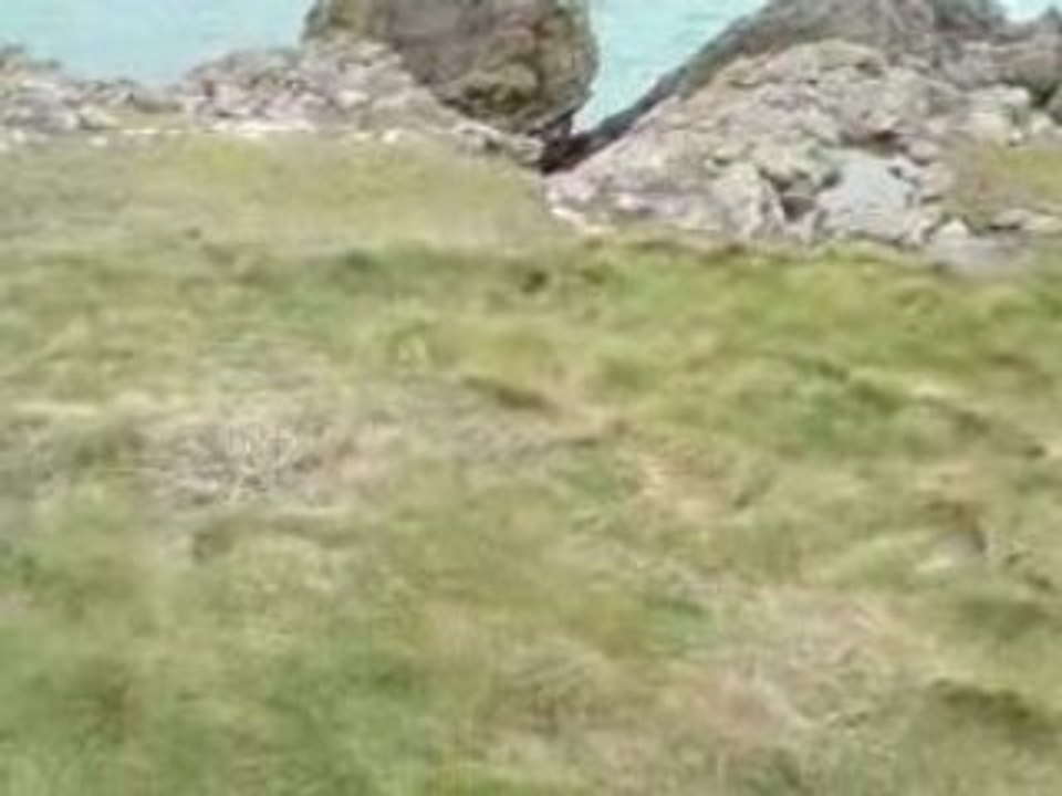 Les petites falaises de Howth