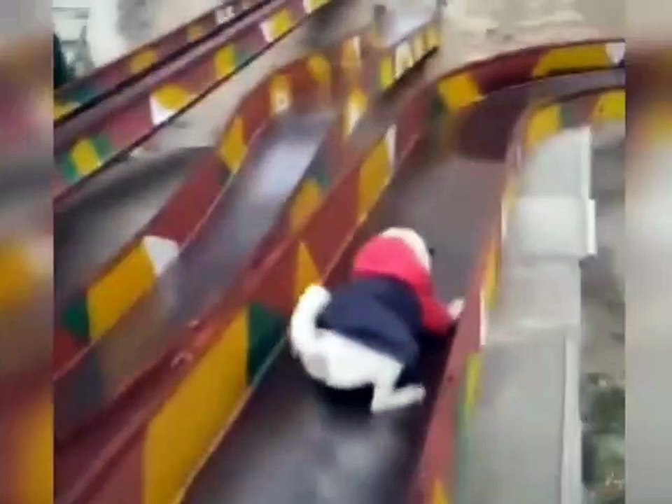 kid's masti- funny videos#9|| cats and dogs