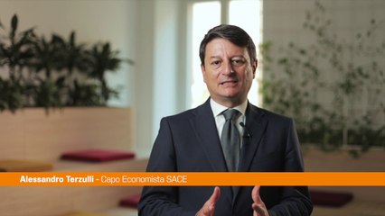 Terzulli (SACE) "Effetto inflazione anche sull'export"