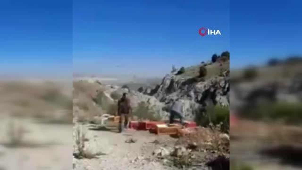 Onlarca kınalı keklik Afyonkarahisar'da doğaya salındı