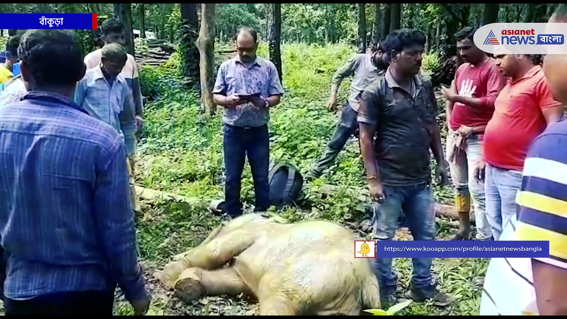 Bankura News : হস্তি শাবকের মৃতদেহ উদ্ধার ঘিরে তীব্র চাঞ্চল্য, অনুমান ইলেকট্রিক শকেই মৃত্যু হয়েছে শাবকটির