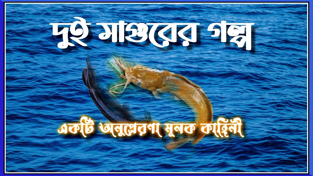 আপনি কি জীবনে হতাশাগ্রস্ত? ভগবানে আস্থা হারাচ্ছেন? এই ভিডিওটি তবে আপনার জন্য!