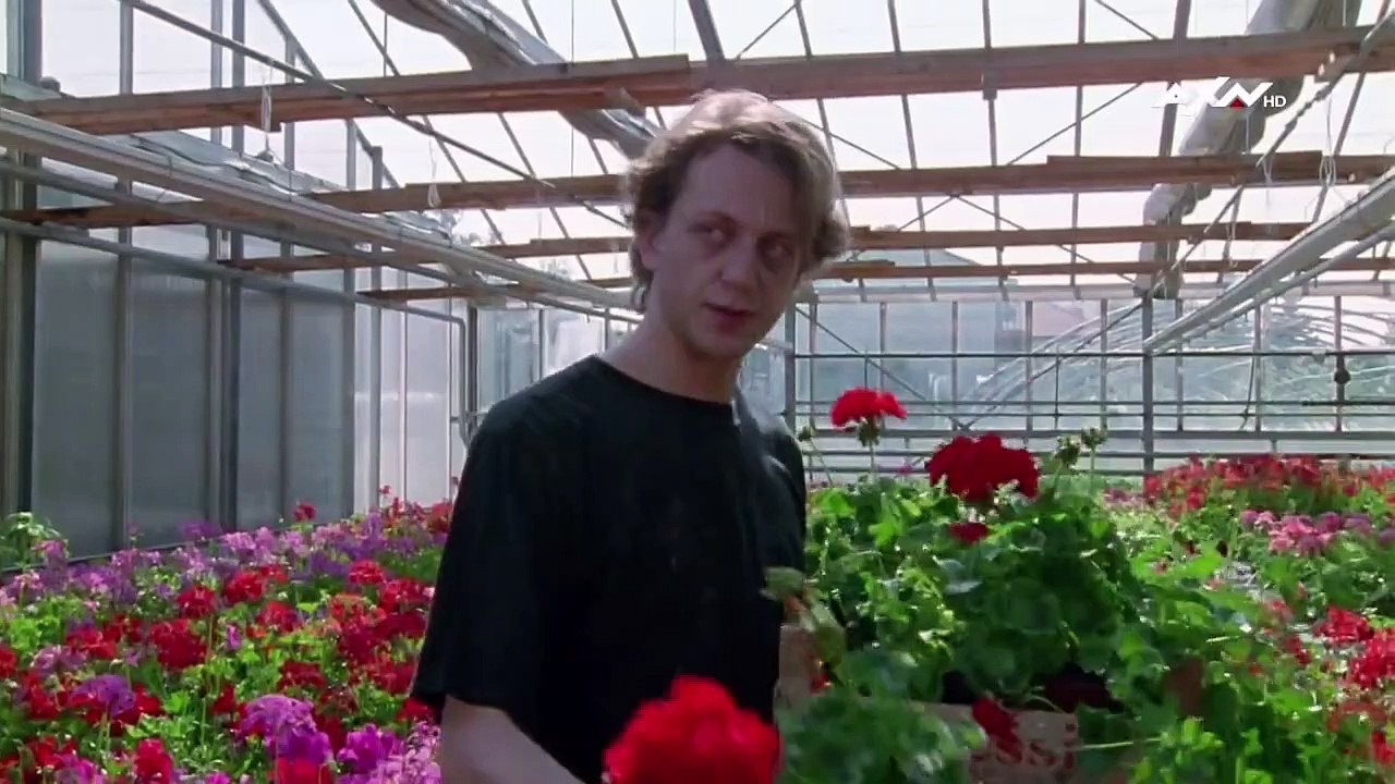 Kommissar Rex Staffel 3 Folge 5 HD Deutsch