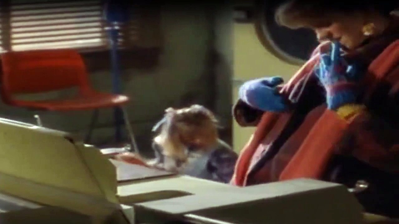 Ausgerechnet Alaska Staffel 5 Folge 15 HD Deutsch