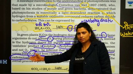 L3_ Absorption and Action Spectrum _ Photosynthesis Complete NCERT Review _ Target NEET 2020