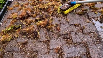 Removing moss from crevices of a roof