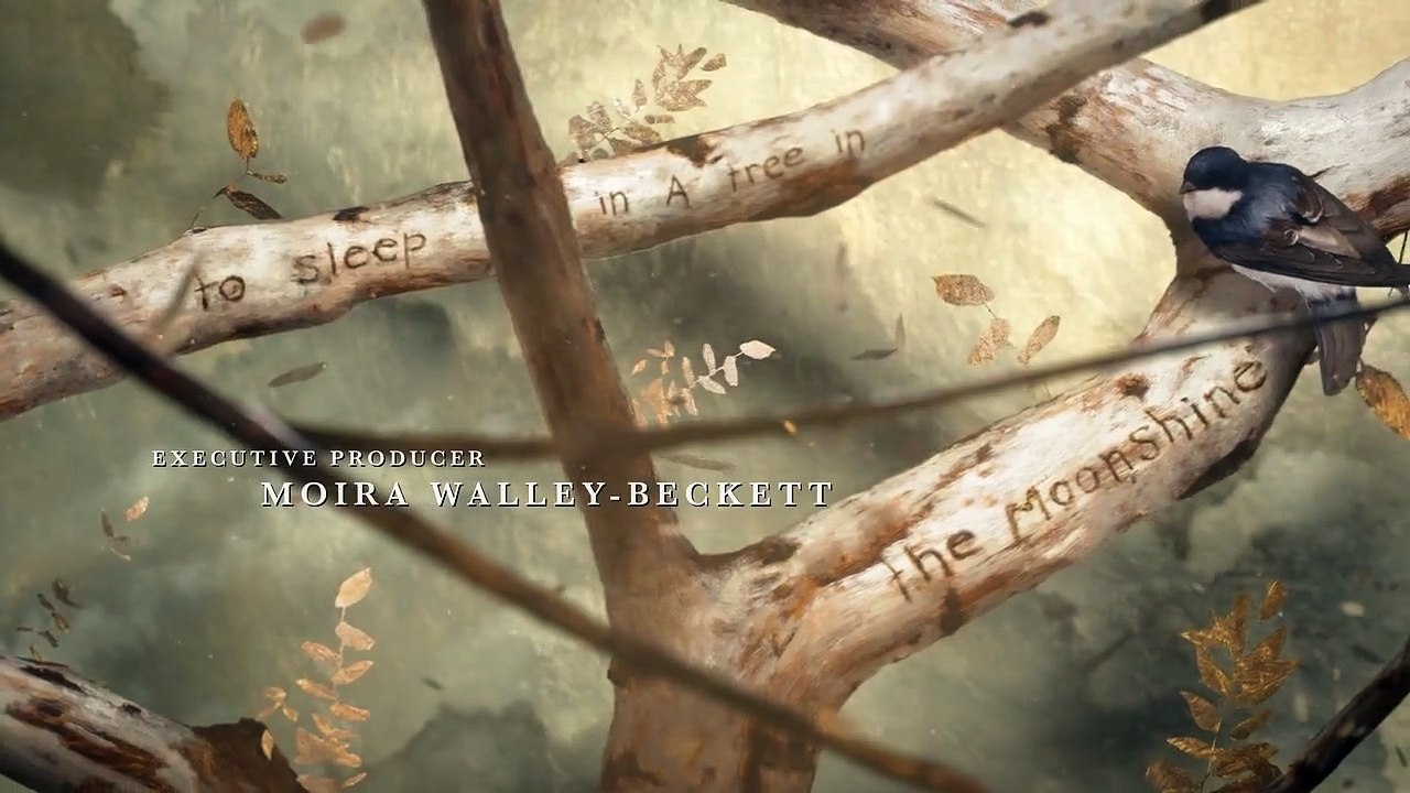 Anne with an E Staffel 2 Folge 10 HD Deutsch