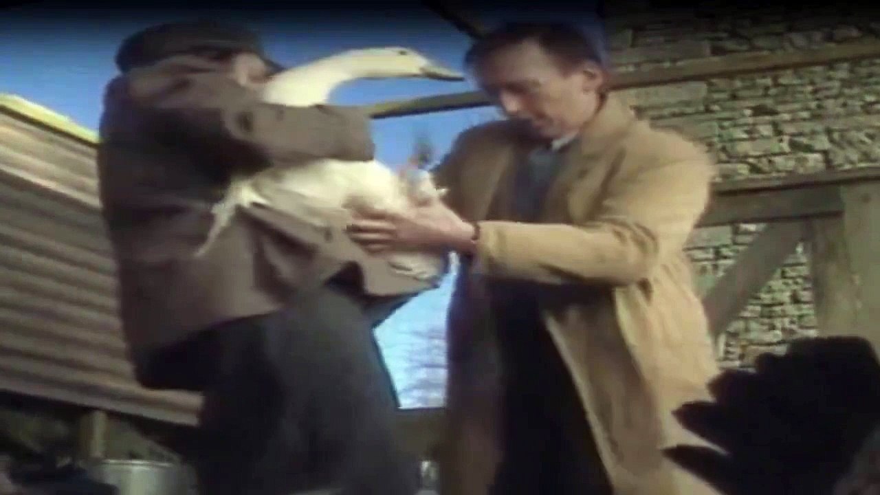 Der Doktor Und Das Liebe Vieh Staffel 7 Folge 2 HD Deutsch