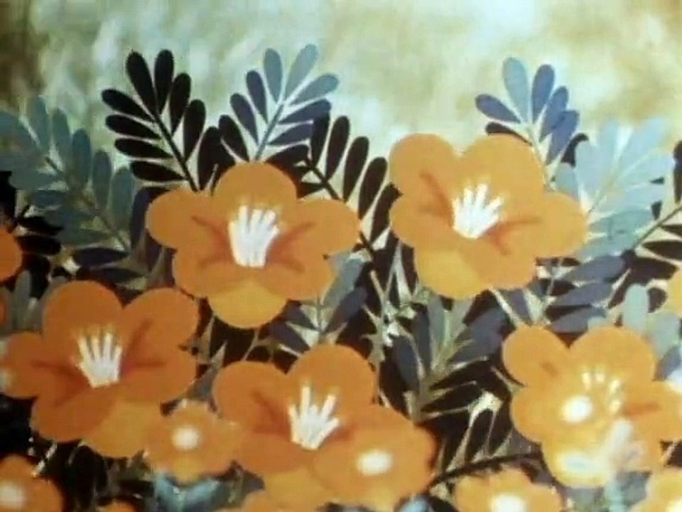 Tao Tao - Tiergeschichten aus aller Welt Staffel 1 Folge 27 HD Deutsch