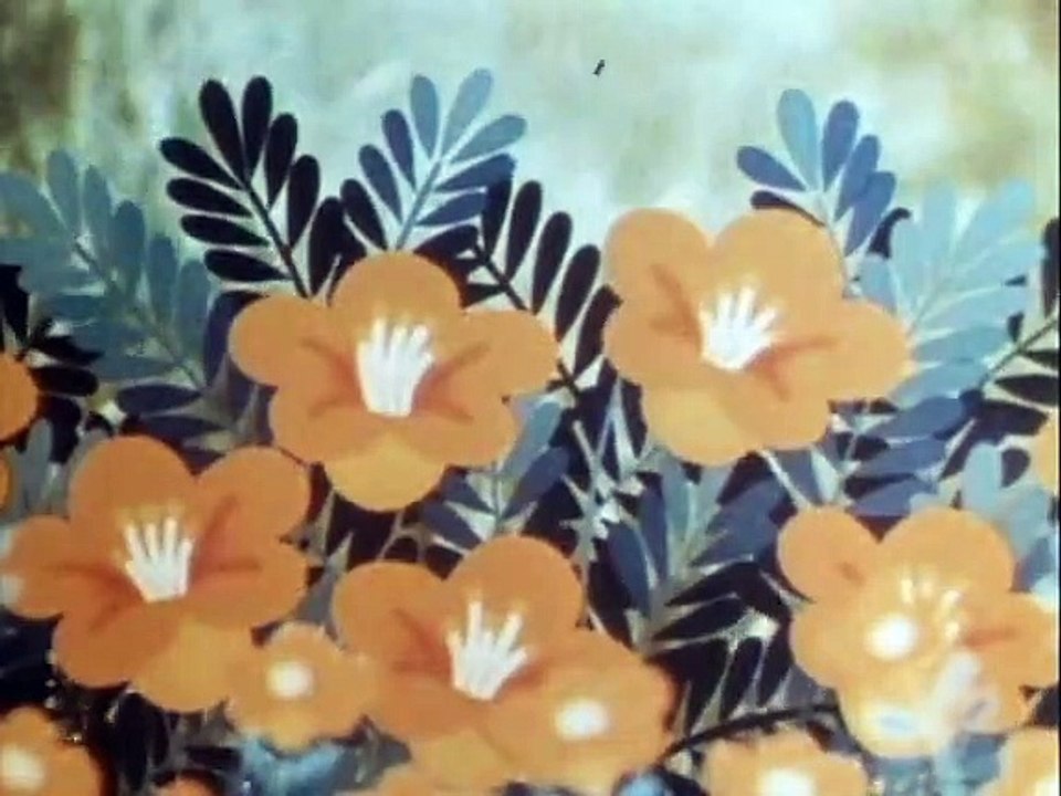 Tao Tao - Tiergeschichten aus aller Welt Staffel 1 Folge 28 HD Deutsch