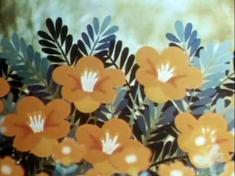 Tao Tao - Tiergeschichten aus aller Welt Staffel 1 Folge 29 HD Deutsch