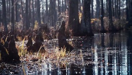 South of Hell Staffel 1 Folge 6 HD Deutsch