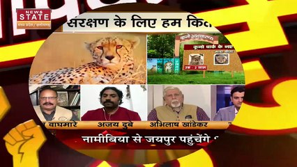 Cheetah in Madhya Pradesh: 70 साल बाद फिर चीतो की हुई भारत वापसी | Cheetah in MP | Cheetah Video