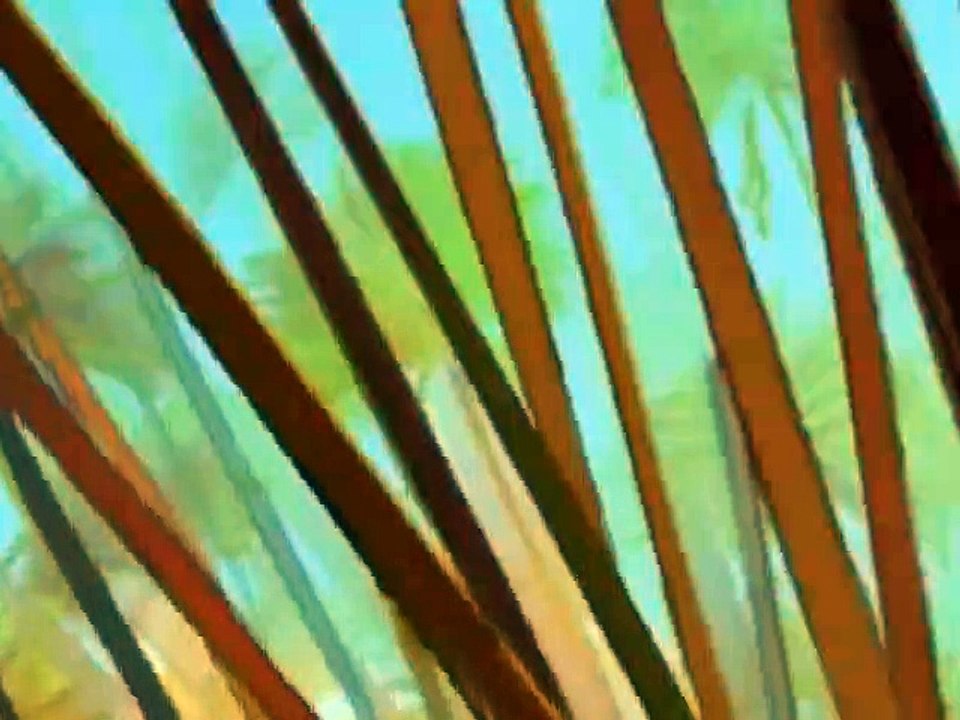 Papyrus Staffel 1 Folge 24 HD Deutsch