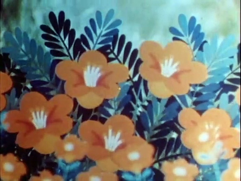 Tao Tao - Tiergeschichten aus aller Welt Staffel 1 Folge 12 HD Deutsch