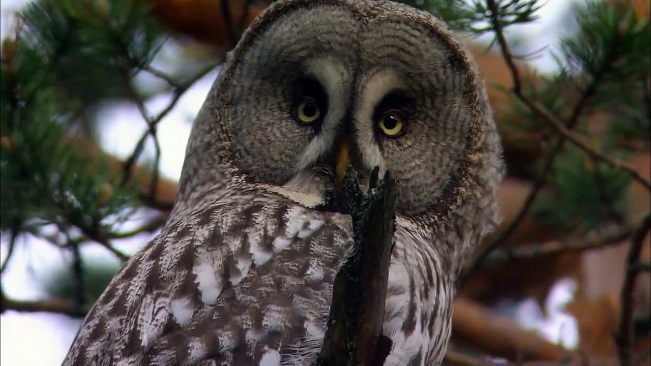 Wilder Norden Staffel 1 Folge 2 HD Deutsch